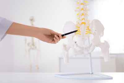 Requirements for a Chiropractic Degree