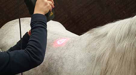 When will My Horse Need Laser Therapy